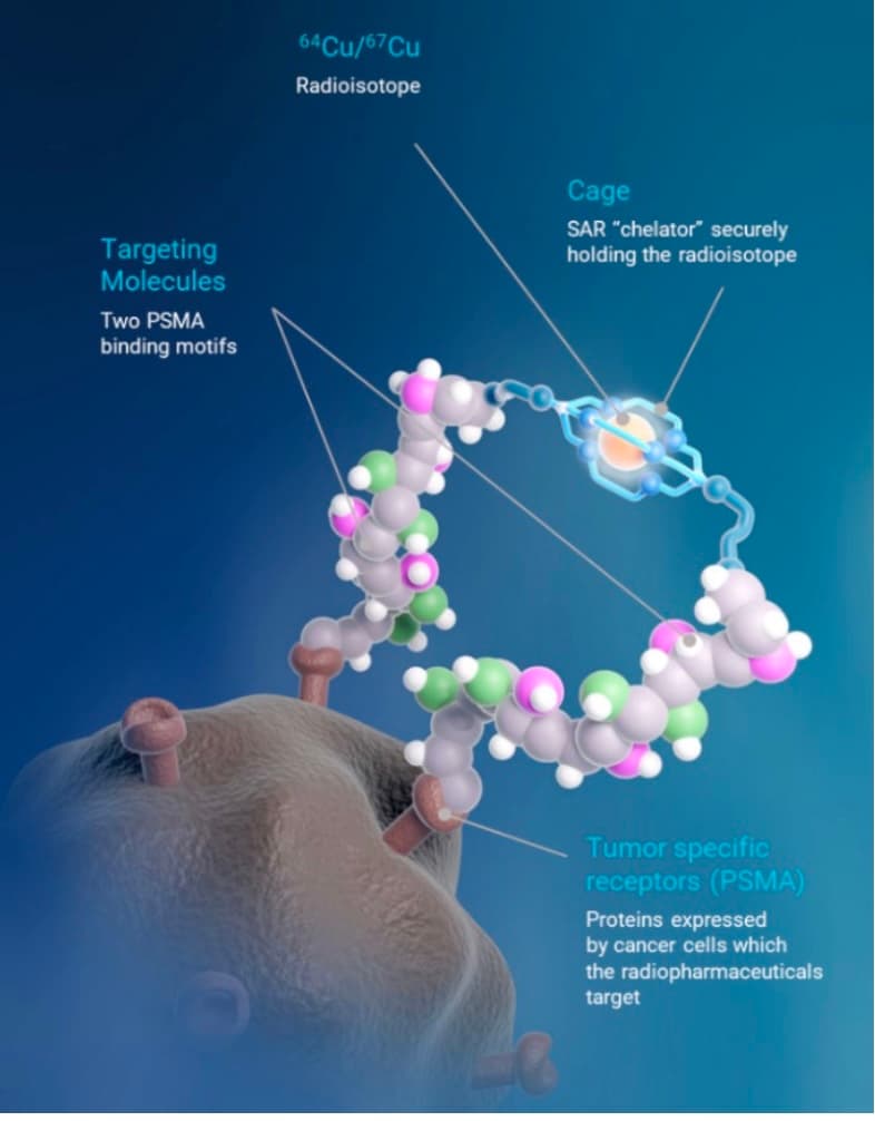 Clarity Pharmaceuticals Hits Key Milestone in Co-PSMA Trial, Confirms Superior Imaging for Prostate Cancer