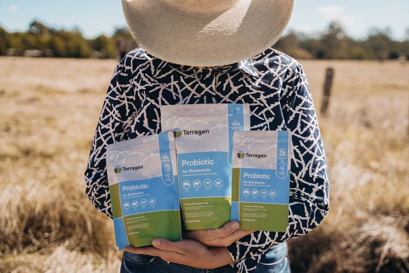 Terragen Taps $7m to Fuel Global Push and Product Pipeline